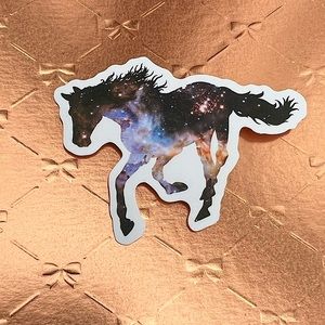Celestial Equestrian Horse Girl Horse Boy Cowboy CowGirl Single Sticker